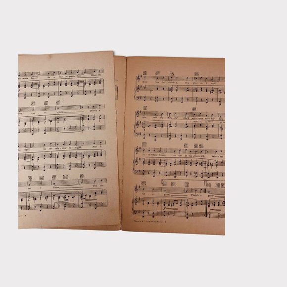 1926 Where The Red Roses Grow Lillian Dawson Henry Akst Vintage Sheet Music Weil - Picture 10 of 12